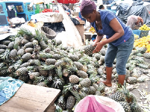 A customer has the opportunity to select from a variety of pineapples at the CMB Market