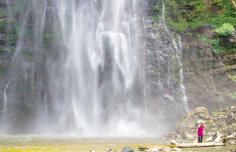 Wli waterfalls