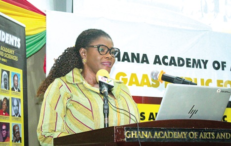 Kathleen Addy, Chairperson, NCCE, making her submission. Picture: ERNEST KODZIKathleen Addy, Chairperson, NCCE, making her submission. Picture: ERNEST KODZI