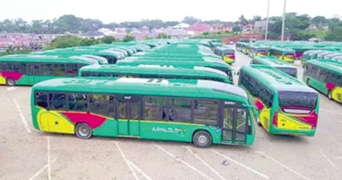 Ayalolo buses