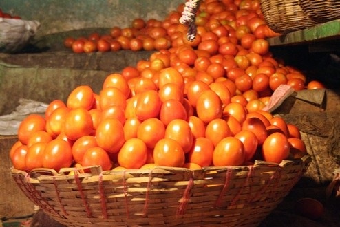Govt intensifies efforts to boost local tomato production – MoFA