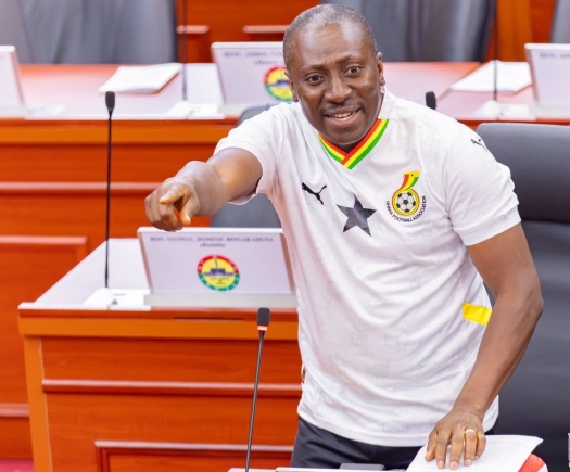 Alexander Afenyo-Markin  — Minority Leader