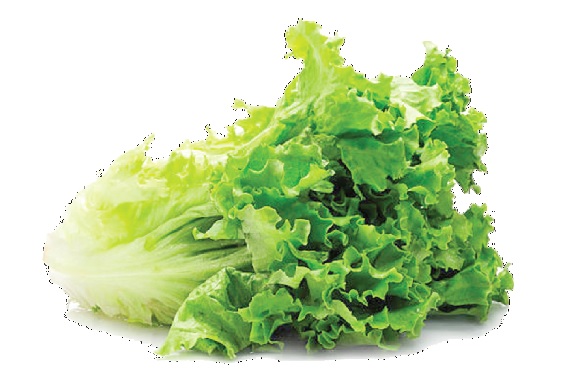 Lettuce is rich in vitamin K, which is important for bone health