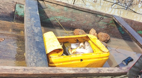 A fisherman catch for the day