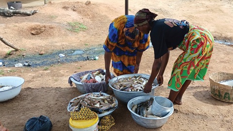 These women always smoke the fish for sale