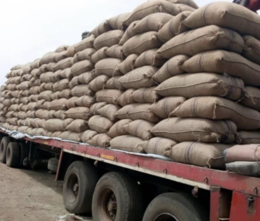 TCDA rolls out nationwide certificate system for transport of tree crops