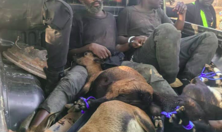 Police officer shot during chase of goat-stealing syndicate in Central Region