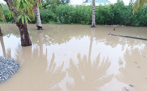 Stagnant flood waters