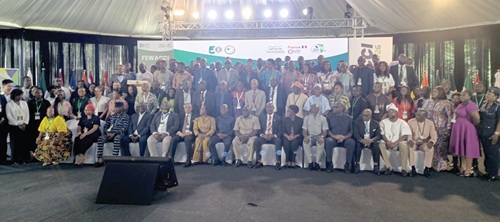 Julius Debrah (arrowed), Chief of Staff, with participants at the summit