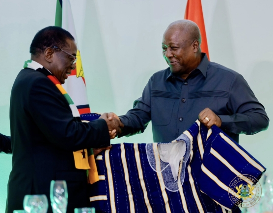 Ghana to grant free visas to all Africans from May 25 — President Mahama announces