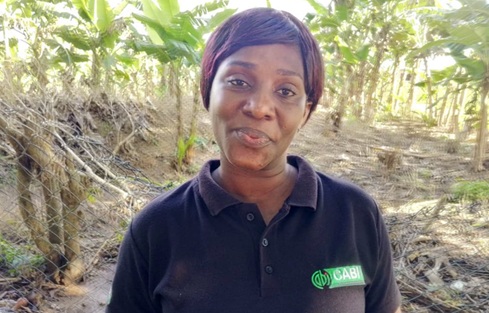 Felicia Asabea Boadu, Bono Regional Women in Agricultural Development  Officer at the MoFA