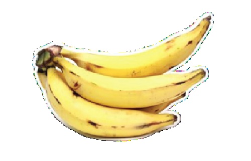 Ripe plantains are excellent source of vitamin C
