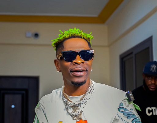 Look beyond office jobs, turn to agric –Shatta Wale to youth