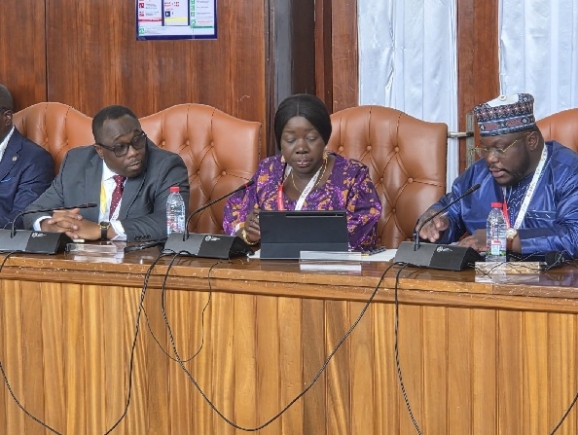Elizabeth Ofosu-Adjare (middle), Minister of Trade, Agribusiness and Industry speaking during the meeting