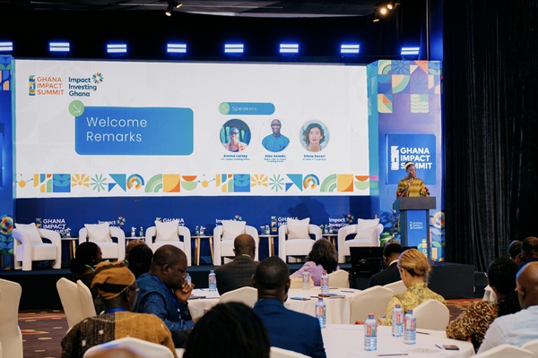 Amma Lartey speaking at the summit