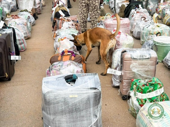 No drugs found as NACOC K9 unit screens Hajj pilgrims at Tamale Airport