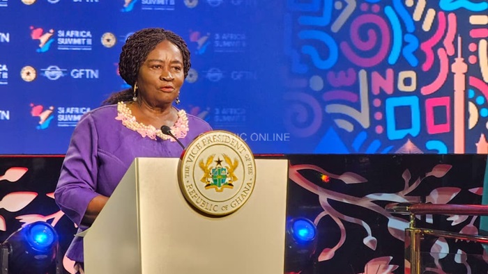 Vice President Professor - Jane Naana Opoku-Agyemang