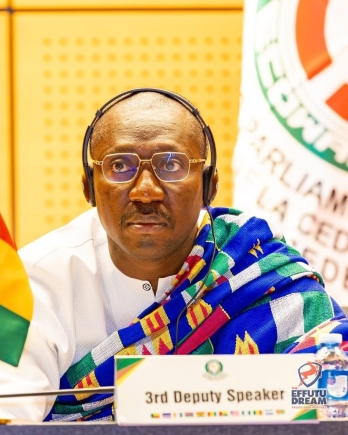 Prosecute xenophobic attacks culprits - Minority Leader urges West African states to demand action from South Africa