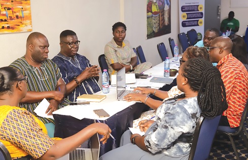 Participants in a group discussion during the workshop Picture: EDNA SALVO KOTEY