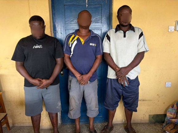 Police arrest 3 suspects for possession of 1600 Indian hemp 