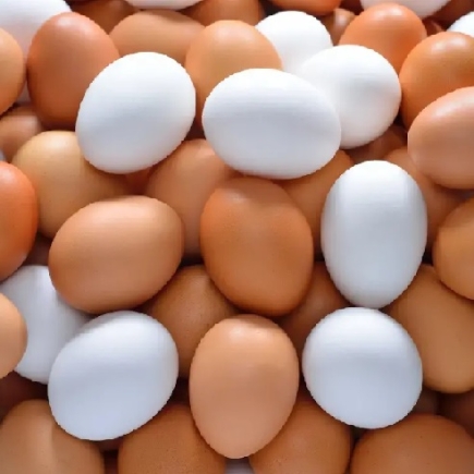 The difference between brown and white eggs — Explained by Science
