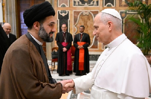 Pope Leo greets participants in the colloquium 