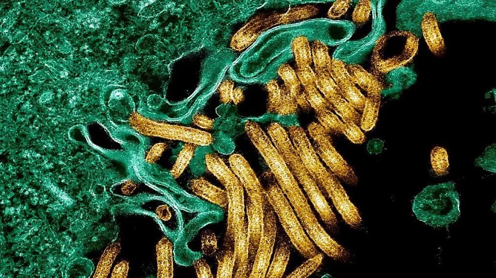 Nearly 2,300 people died in DR Congo's deadliest Ebola outbreak between 2018 and 2020