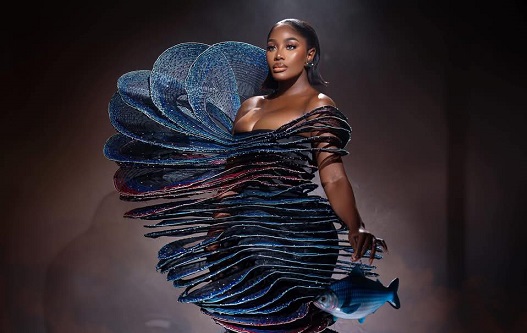 TGMA is not the platform to judge fashion — Nana Akua Addo