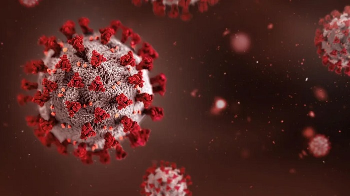 According to WHO, there have been 600 suspected cases of Ebola so far and 139 suspected deaths
