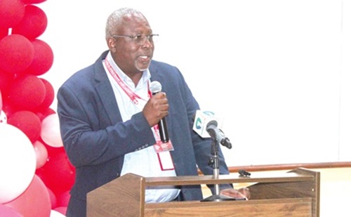 Prof. Fred McBagonluri (inset), President, Academic City, addressing participants in the summit. Picture: ERNEST KODZI