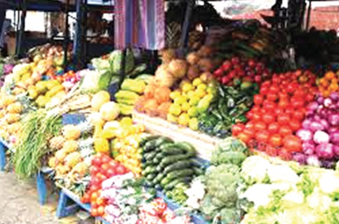 Food security is critical to national development