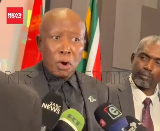 'We don't think Ghana responded in a manner that really enforces dialogue and diplomatic engagements' - Julius Malema on evacuation of 300 Ghanaians