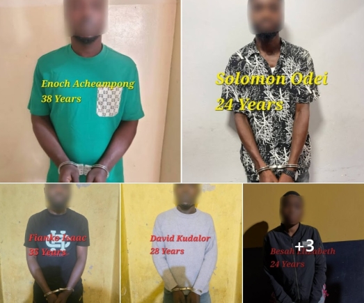 Vehicle theft: Seven suspects arrested in Eastern Region