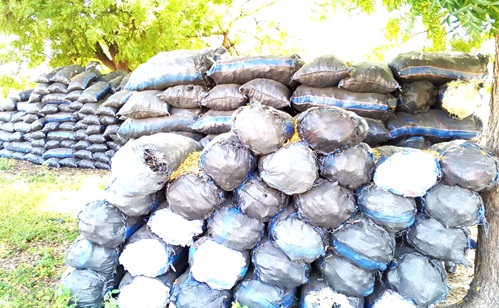 Bags of charcoal packed at Branam on the Wenchi-Wa highway waiting to be transported to the cities.