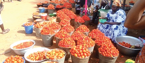 A bucket of fresh pepper was being sold between GH¢100 and GH¢120, as against the GH¢150 and GH¢200 recorded in September