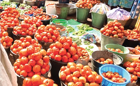 A basin of tomatoes which previously sold for between GH¢300 and GH¢350, is now selling for between GH¢120 and GH¢150.