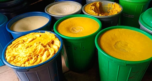 Organic shea butter Organic shea butter