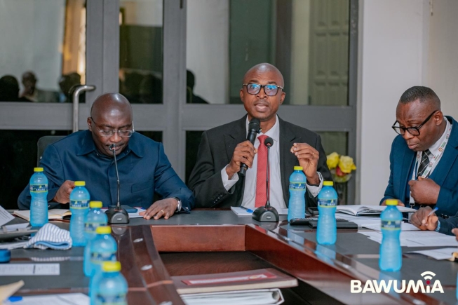 Bawumia consults Pharmacy Society of Ghana