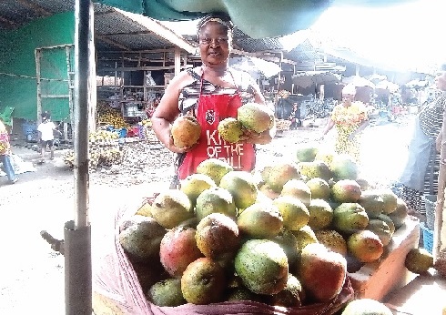Daavi, a mango seller called for government support for farmers through regular spraying of their farms