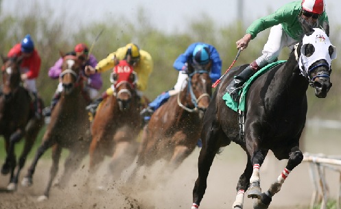 Sports Editorial: Save Borteyman Racecourse, save Ghanaian horseracing