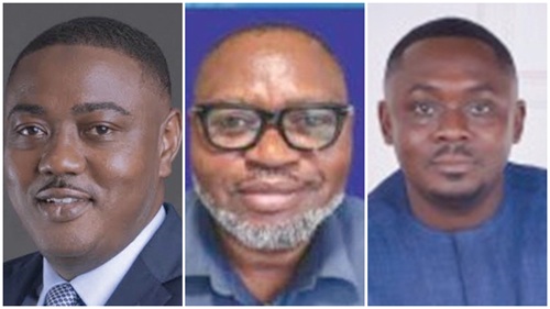 Musah Abdallah —   Head of Corporate and Investment Banking, Stanbic Bank Ghana, Dr Nana Kwesi Amoako —  Sales Director, Business to Business West Africa, Kasapreko PLC, Dr Paa Kwesi Eduaful Abaidoo — Sustainability Manager, Miniplast LTD, 