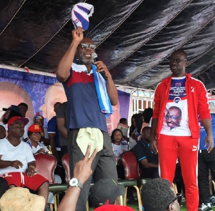 NAPO addressing the party's supporters 