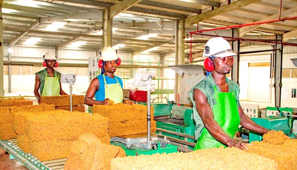 Workers of GREL at the rubber processing factory