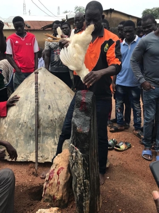 Fowls for the annual sacrifice