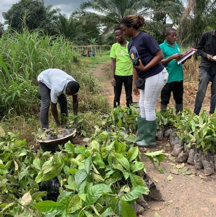 Ivy supervising seedlings distribution 