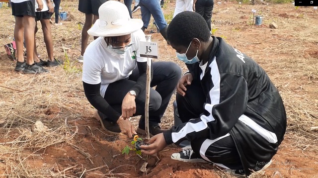 Zanetor Agyeman-Rawlings