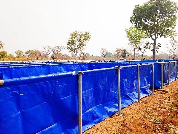 Agricultural project