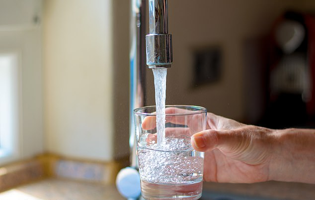 On average, a healthy adult requires 3-4 litres of water a day, and this could come from other foods and drinks (stock)