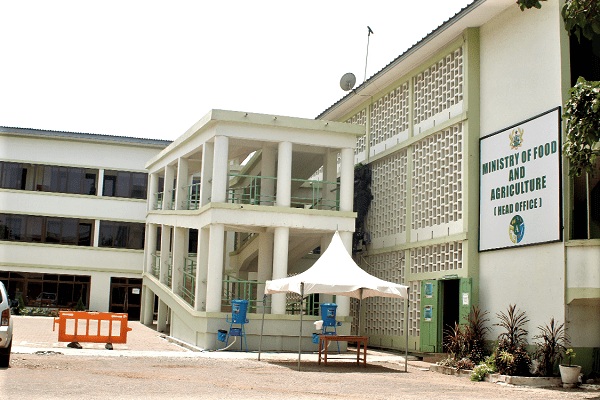 MoFA audit: Tonnes of rice, maize missing - 2 Ghost companies paid GH¢24m