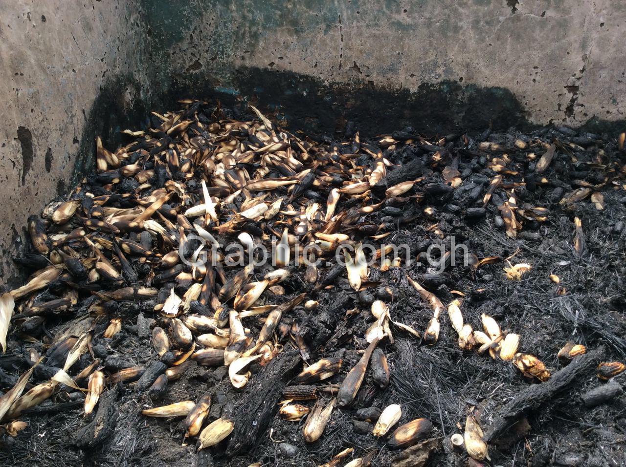 photo 2016 01 28 16 19 41 photo 2016 01 28 16 19 41